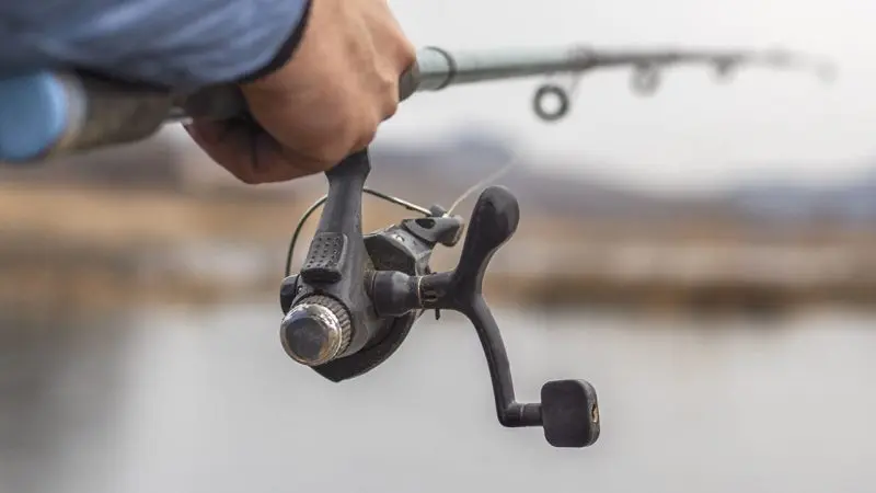 fishinggettyimages-1213515151-e1763313358576742279