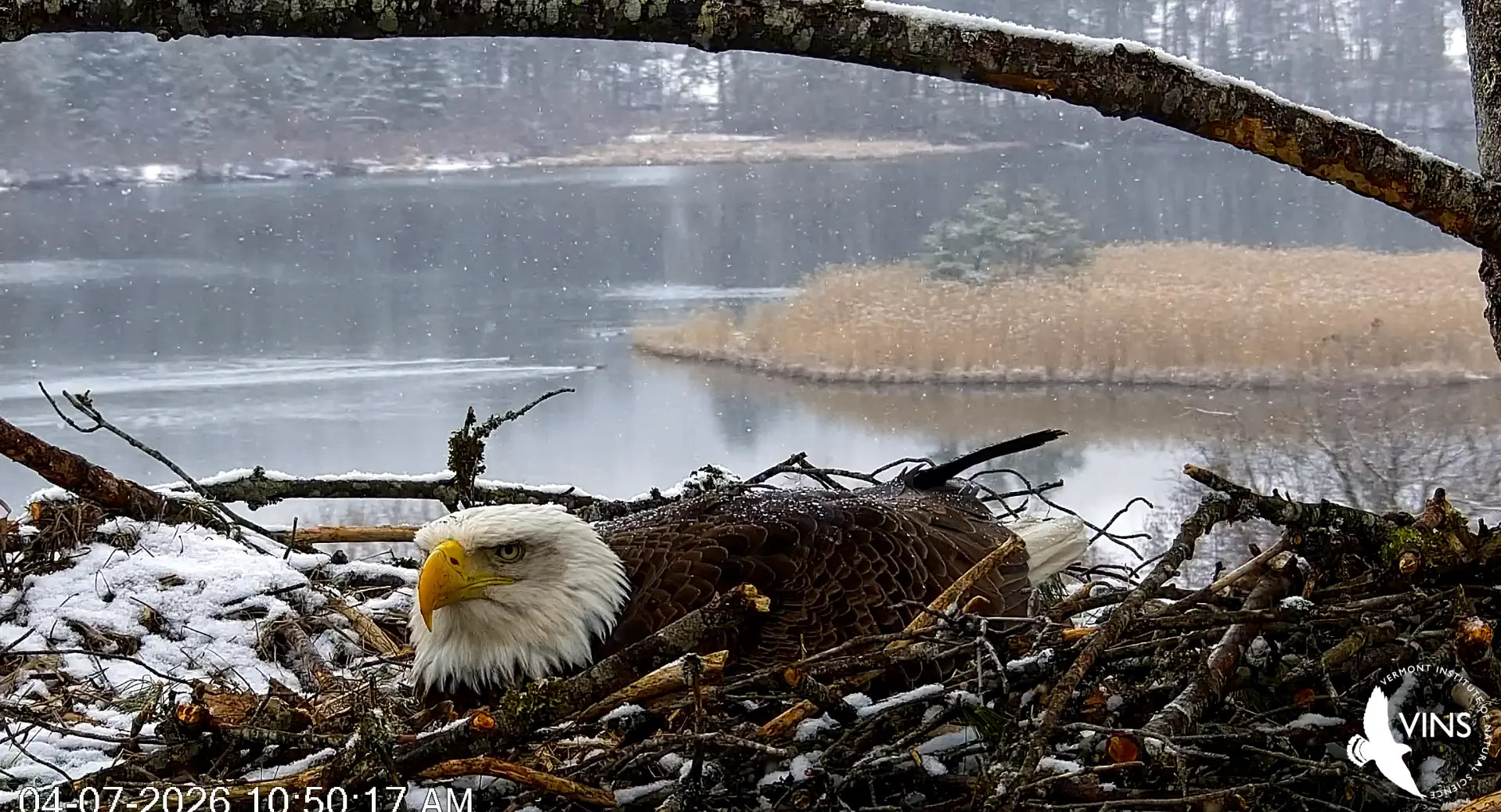 screenshot-2026-04-07-105058358955