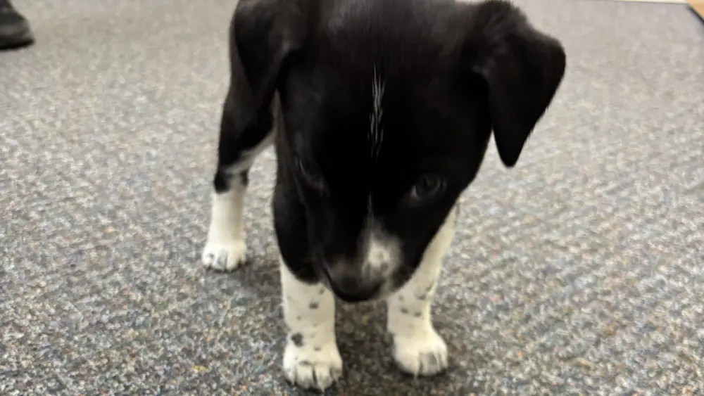 img_2727-rotated-e177680023381315386