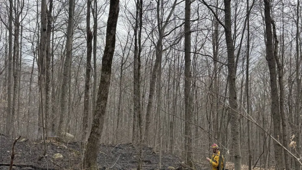vergennes-fire-again-1552577