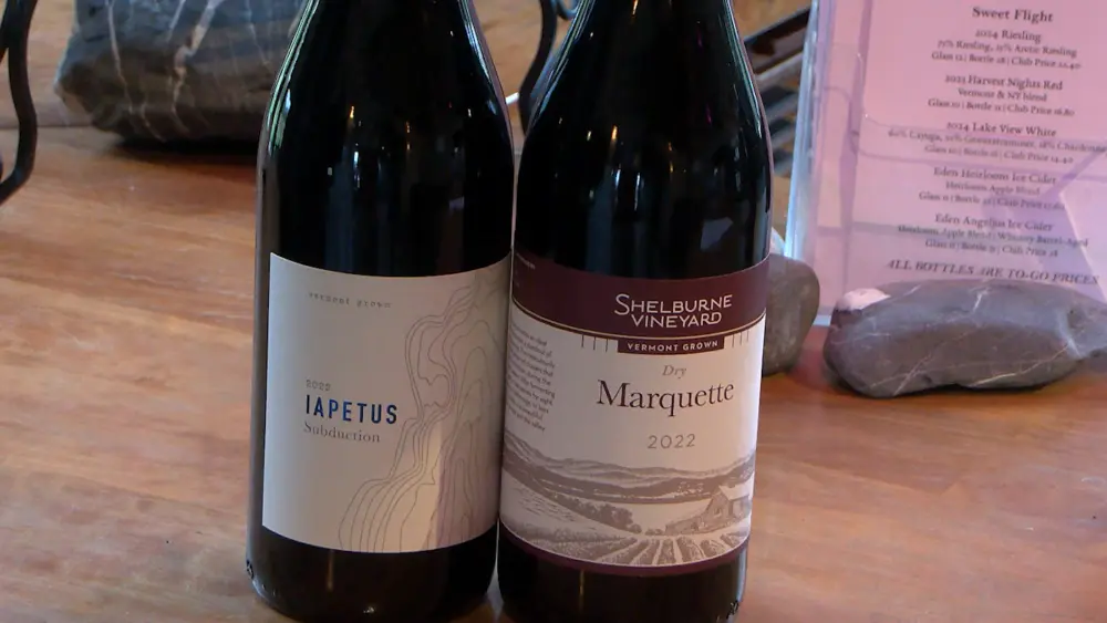 wine294873