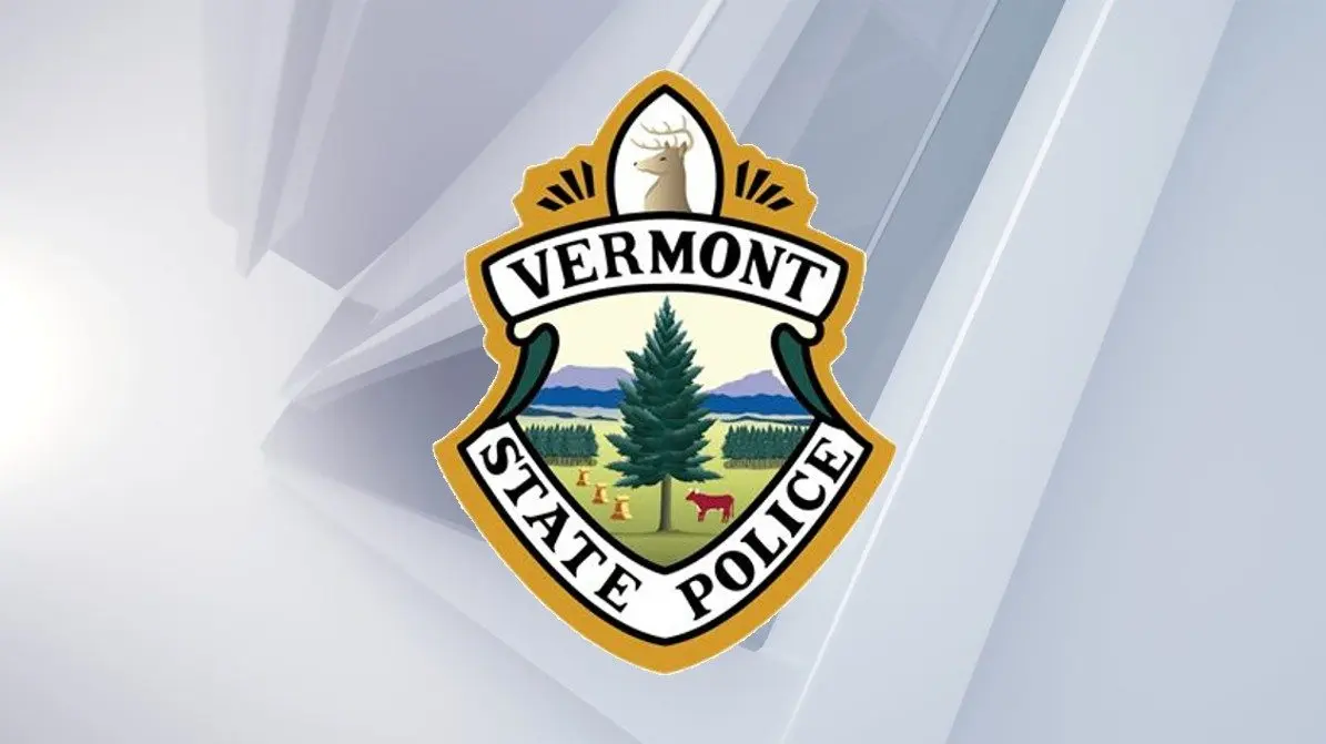 vsp-logo555142