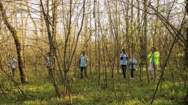 Team of lifesavers rescuers searching for a missing person^ calling their name in the forest and going through the trees to track footsteps. Search squad members looking for a lost victim.