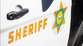 Close-up of a Los Angeles County Sheriff's Department badge and lettering on the side of a patrol vehicle. 2024-11-15 Los Angeles USA