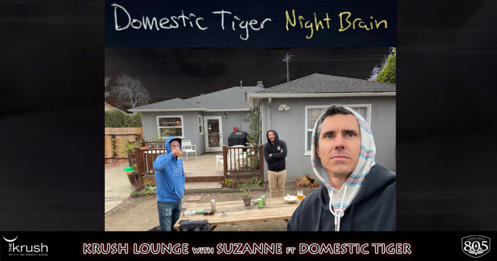 domestic-tiger-night-brain-lounge-fb-1200x630