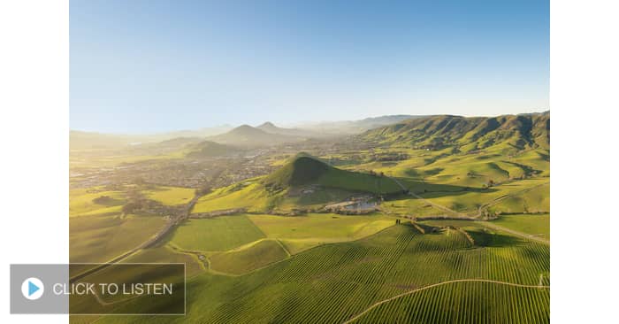 kkal-1623704747-878731