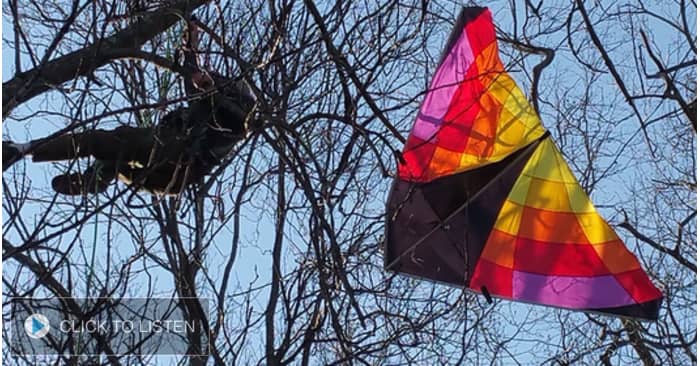 kkal-1652995649-400815