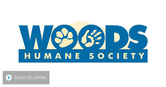 kkal-1653091434-236519