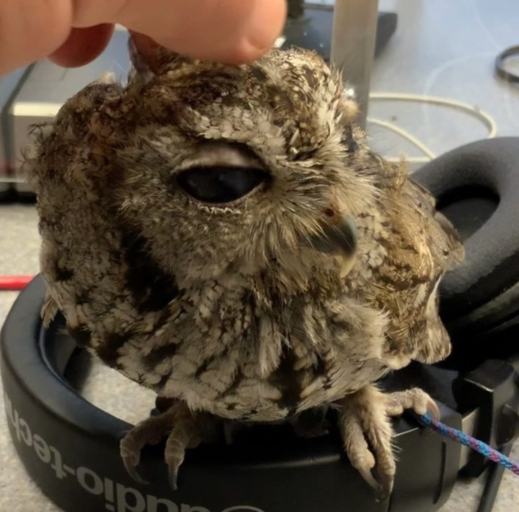 kkal-1657837222-262057