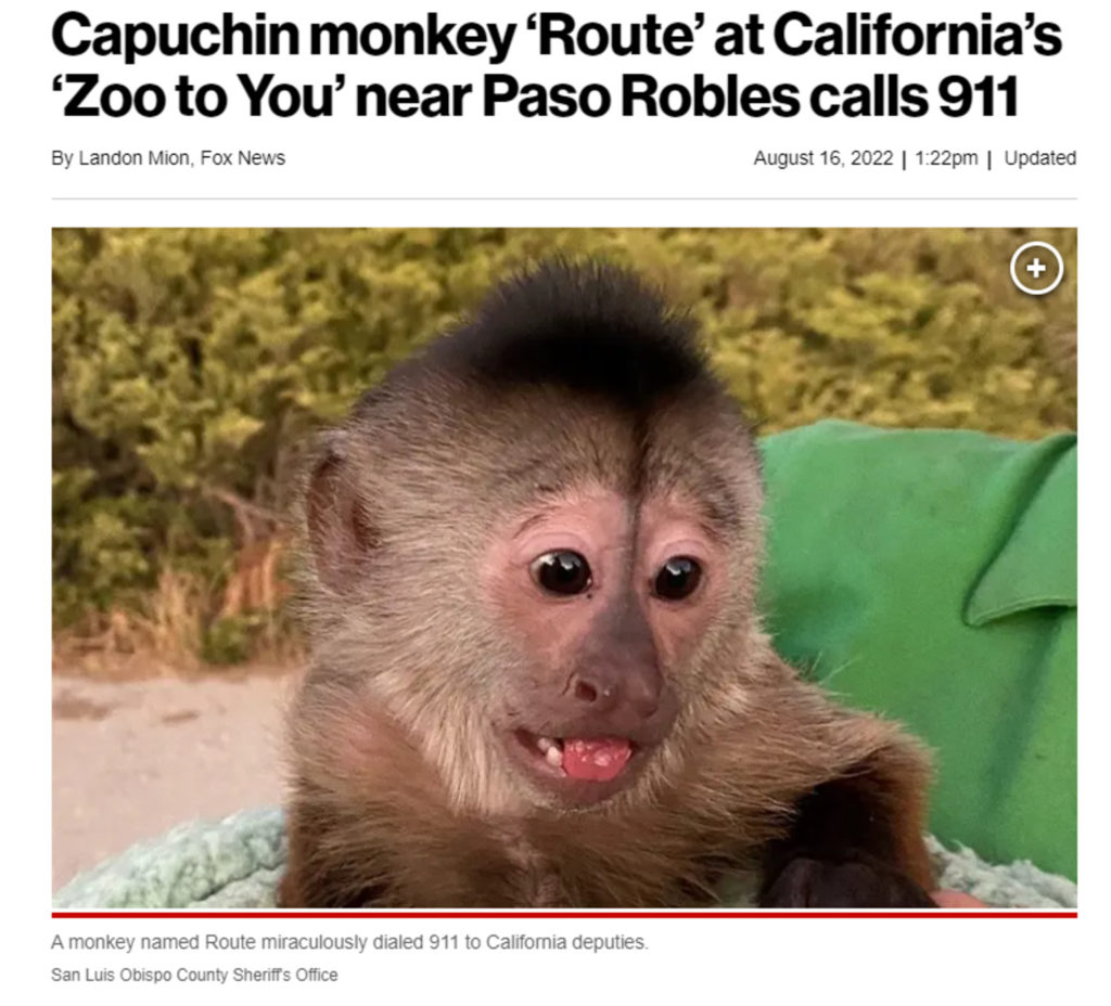 kkal-1660681183-776928