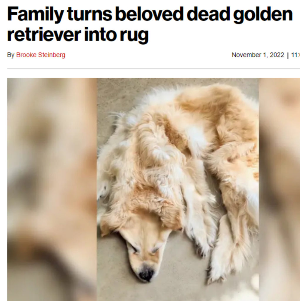 kkal-1667331492-911111