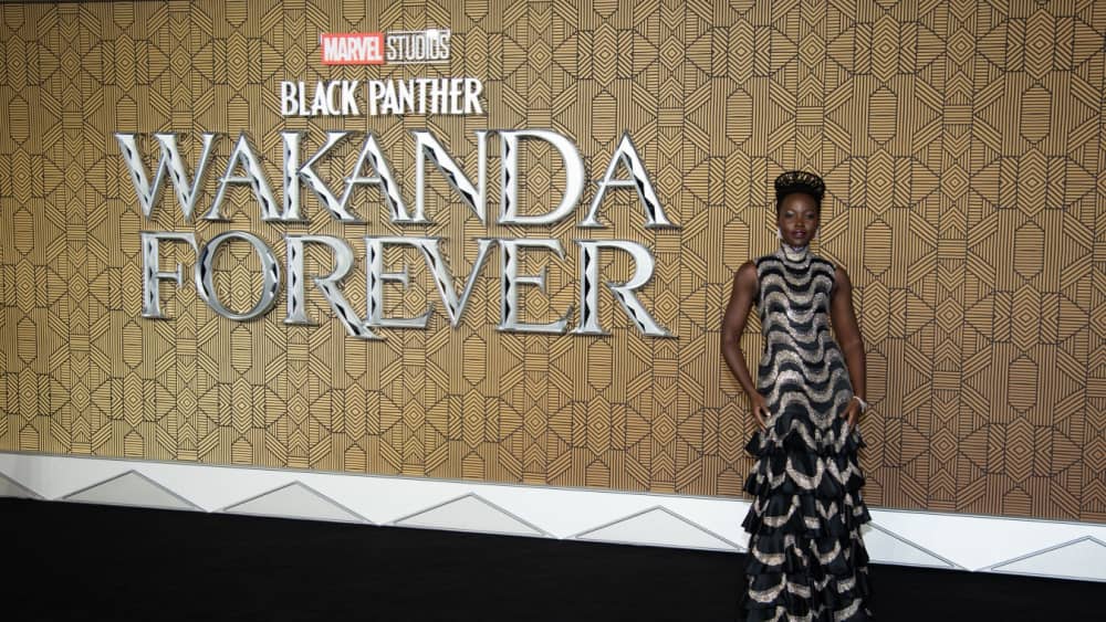 Black Panther: Wakanda Forever' Opening: World Dominance With $365M –  Deadline