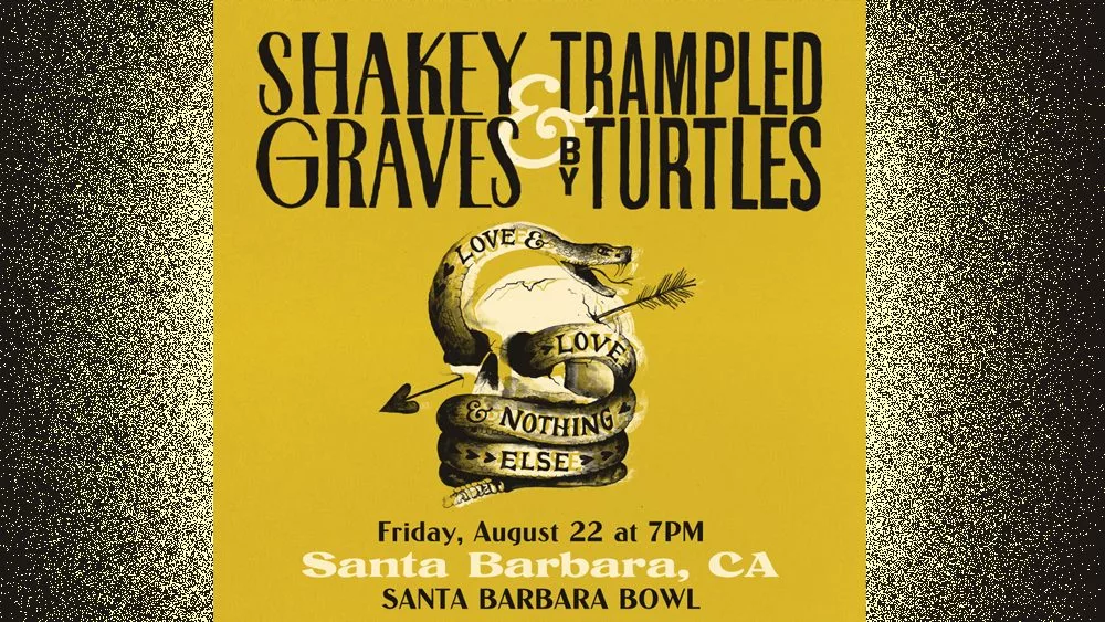 shakey-turtles