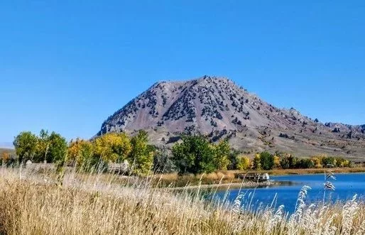 bear-butte-rescue199566