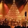 living-christmas-tree861016