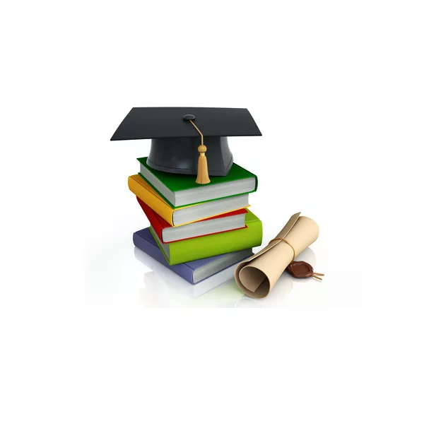 education833727