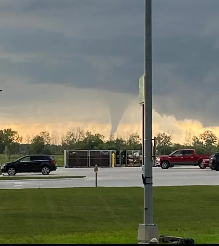 tornado-2-768x863313631-1