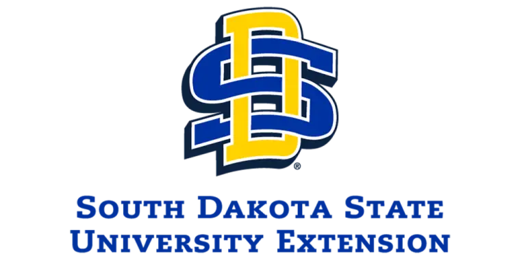 sdsu-extension-logo-centered-teaser-768x38453636-1