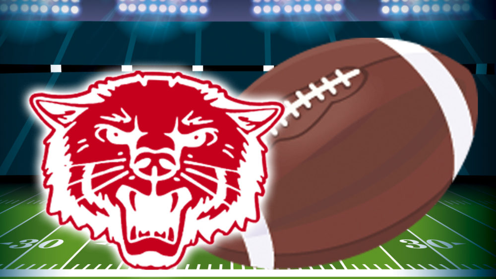 bearkatz-wrap-up-art-9