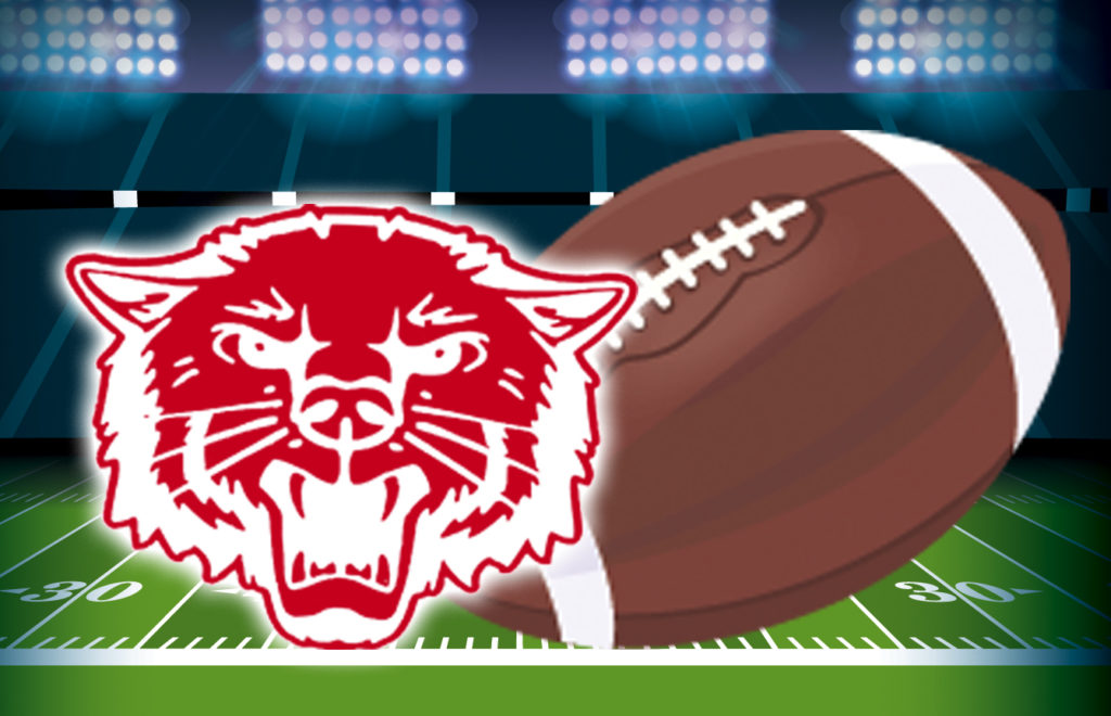 bearkatz-wrap-up-art-9