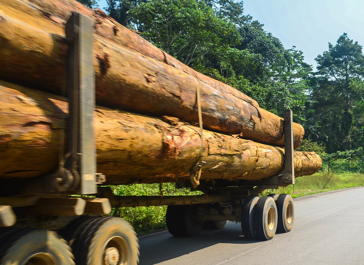 logging-truck-2