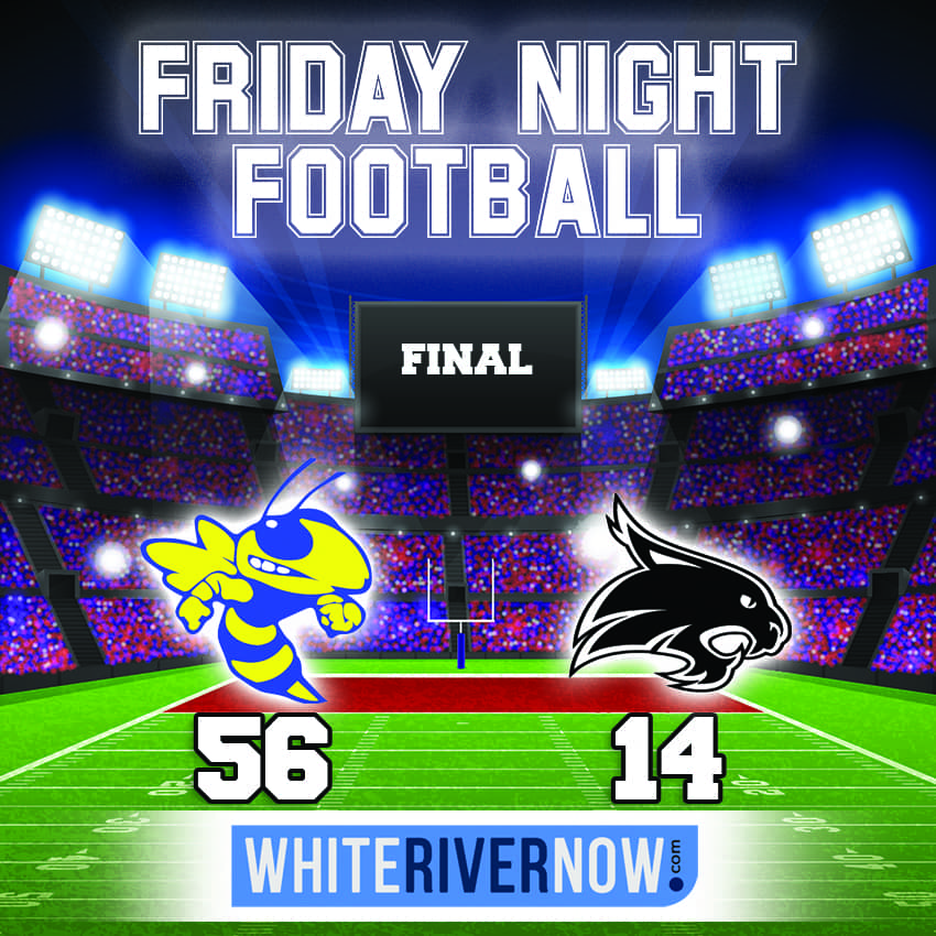 yellowjackets final.jpg