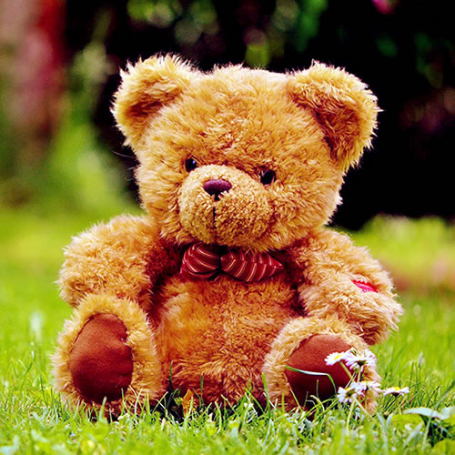 teddy-bear