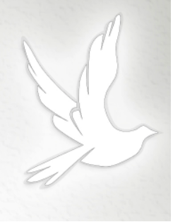 screen-shot-2022-04-08-at-3-16-03-pm