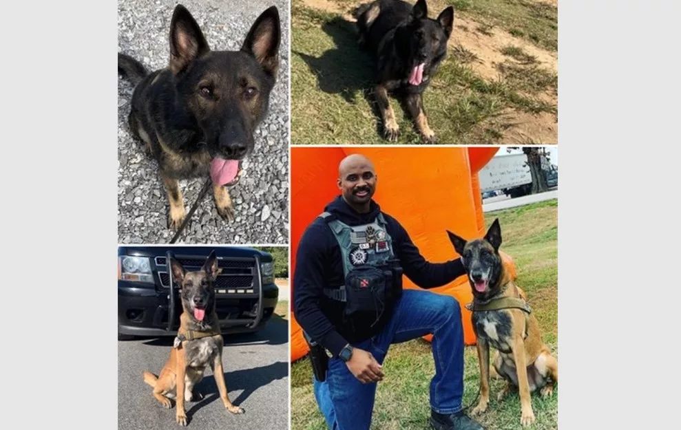 bpd-k9-submitted