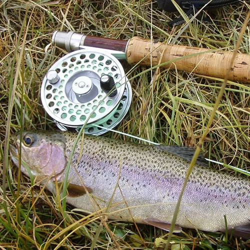 roller-trout-fishing