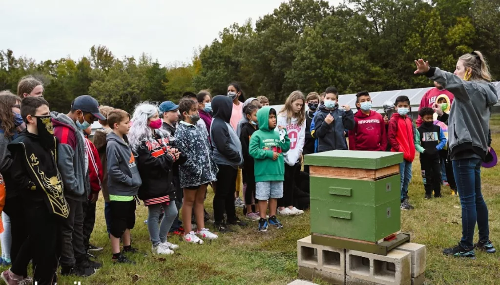 bsd-bee-hives-to-pollinate-solar-field