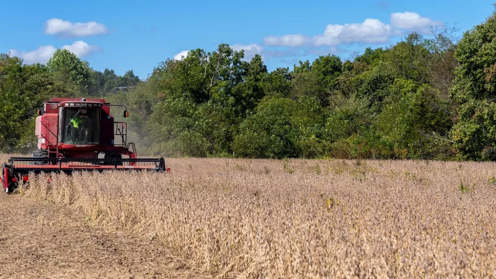 farmer-harvesting-soybeans-usda-photo-by-brandon-oconnor