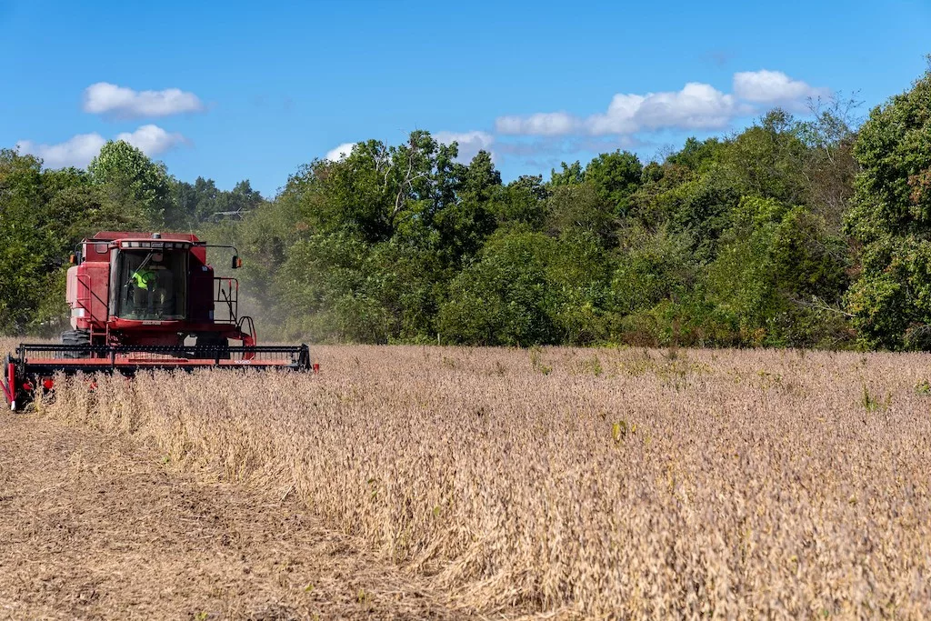 farmer-harvesting-soybeans-usda-photo-by-brandon-oconnor