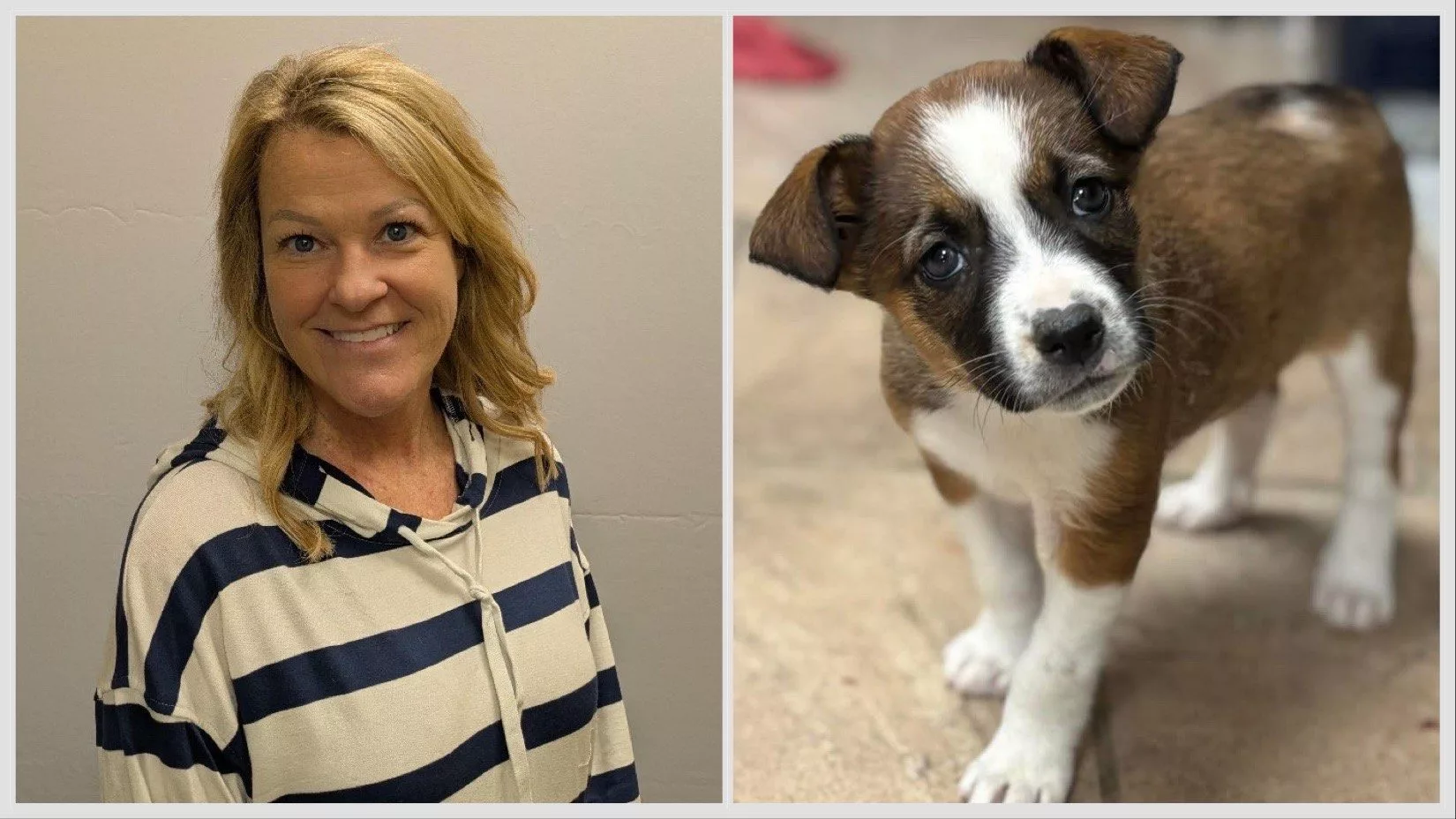 heather-mcintire-white-river-now-hsic