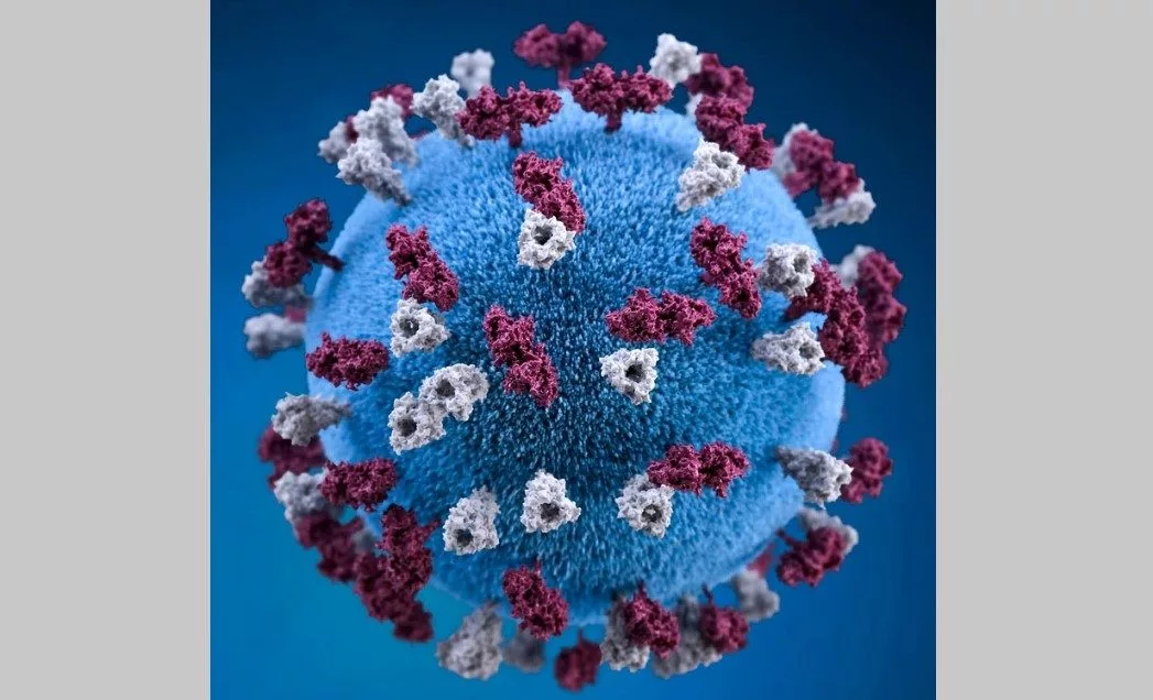 public-health-image-library-centers-for-disease-control-and-prevention