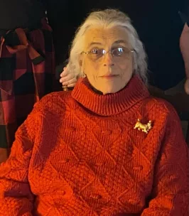 e85cae3fc4cd596c9849cffe98ed4fec