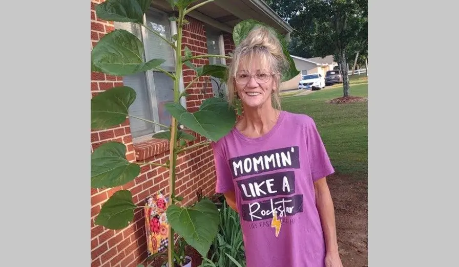 screenshot-2025-06-16-101533