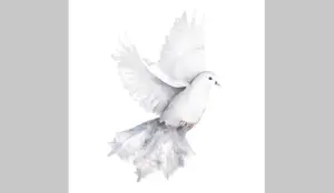 roller-white-dove