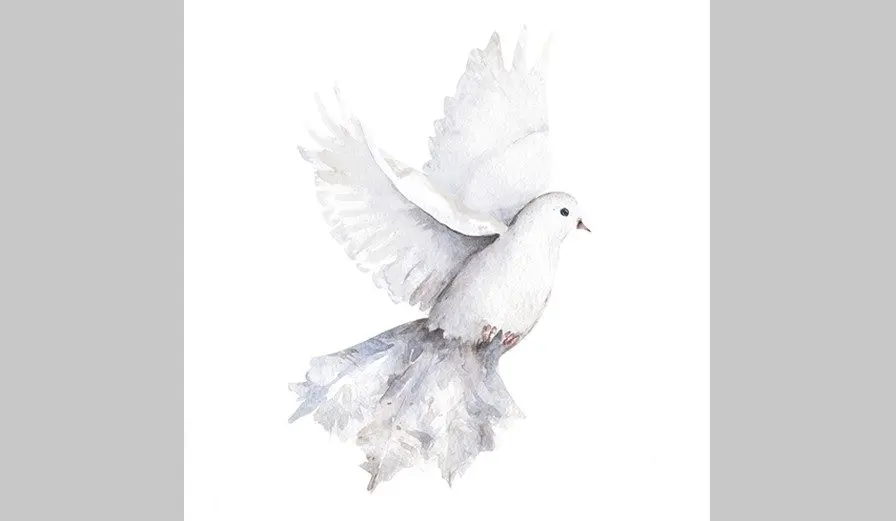 roller-white-dove