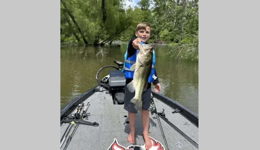 screenshot-2025-07-17-085908