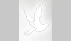 willis-funeral-dove-25