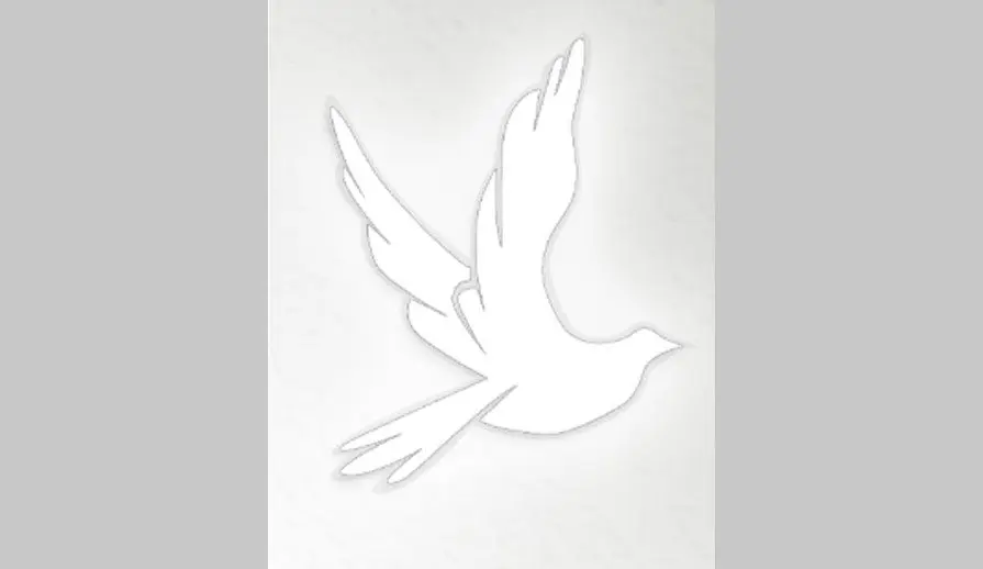 willis-funeral-dove-25