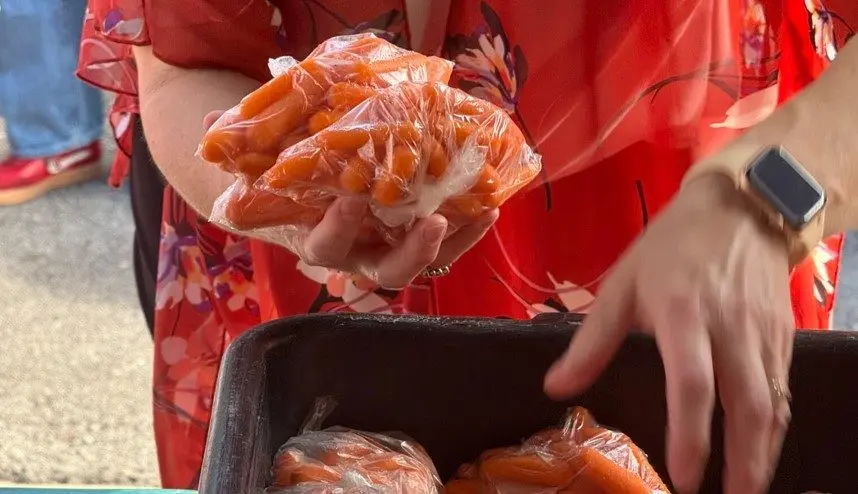 arkansas-advocate-ainsley-platt-food-bank-file-image