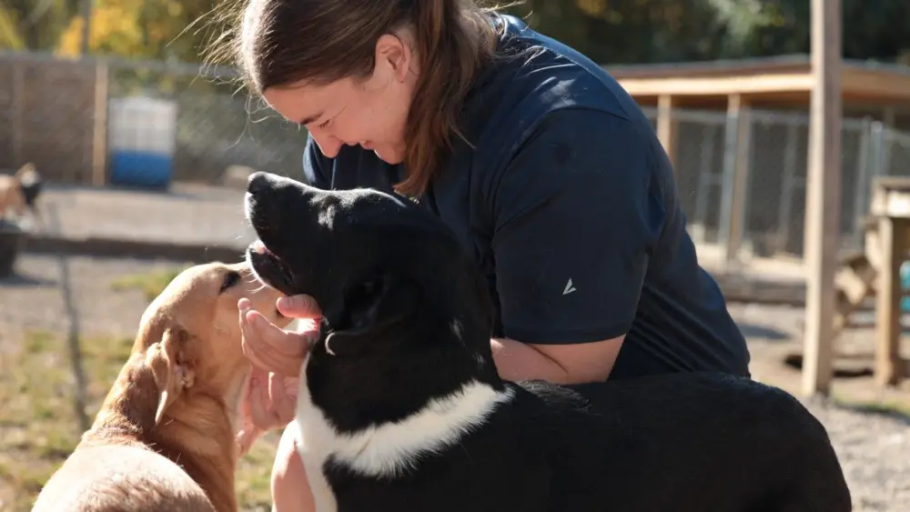 lyon-college-service-day-2024-file-image