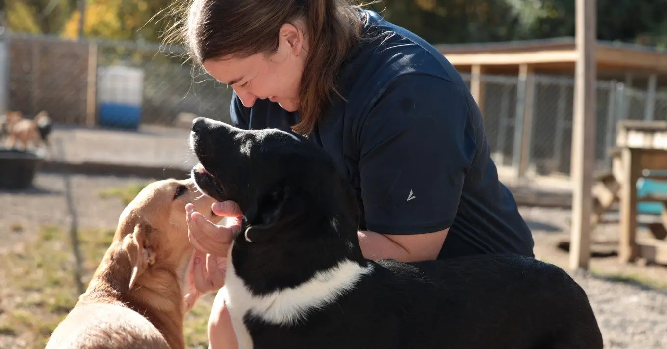 lyon-college-service-day-2024-file-image