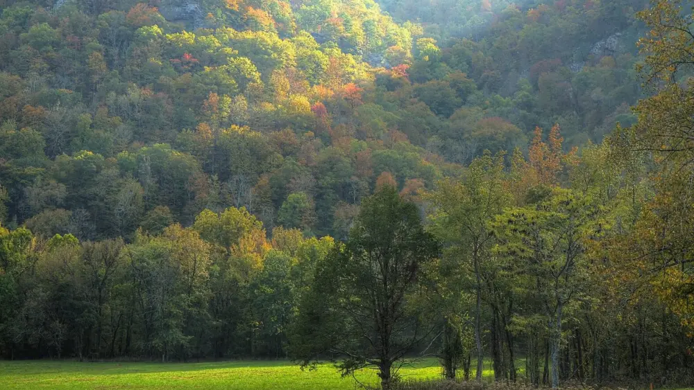 fall_in_the_ozarks-wikicommons-roger-chavers