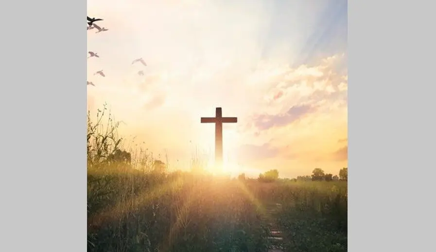 roller-crouch-cross-13