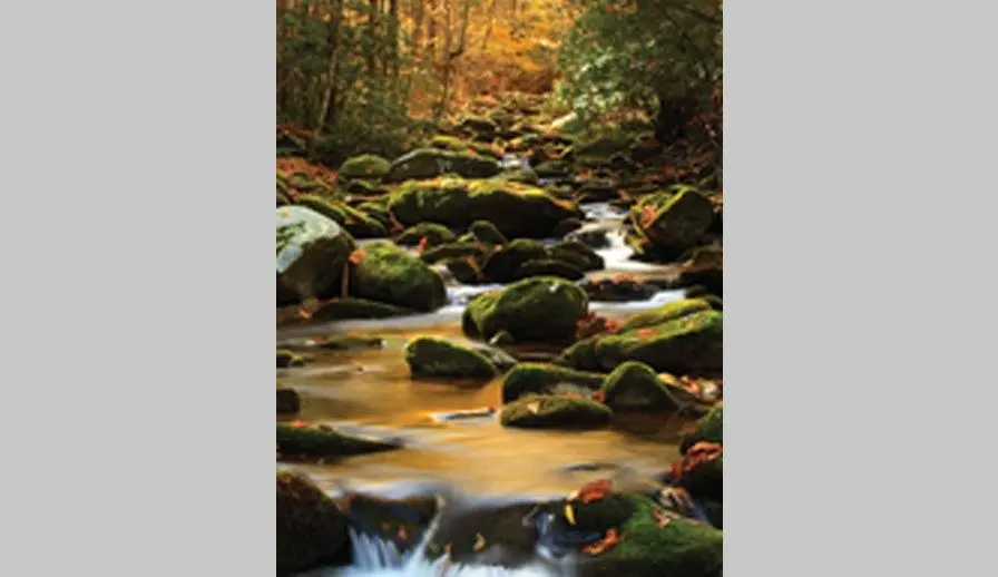 jacksons-creek-water-2