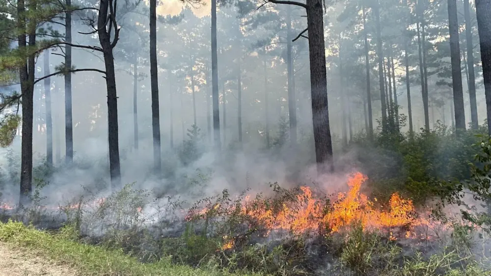 agfc-wildlife-enhancement-1