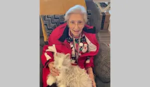 screenshot-2026-01-12-132901